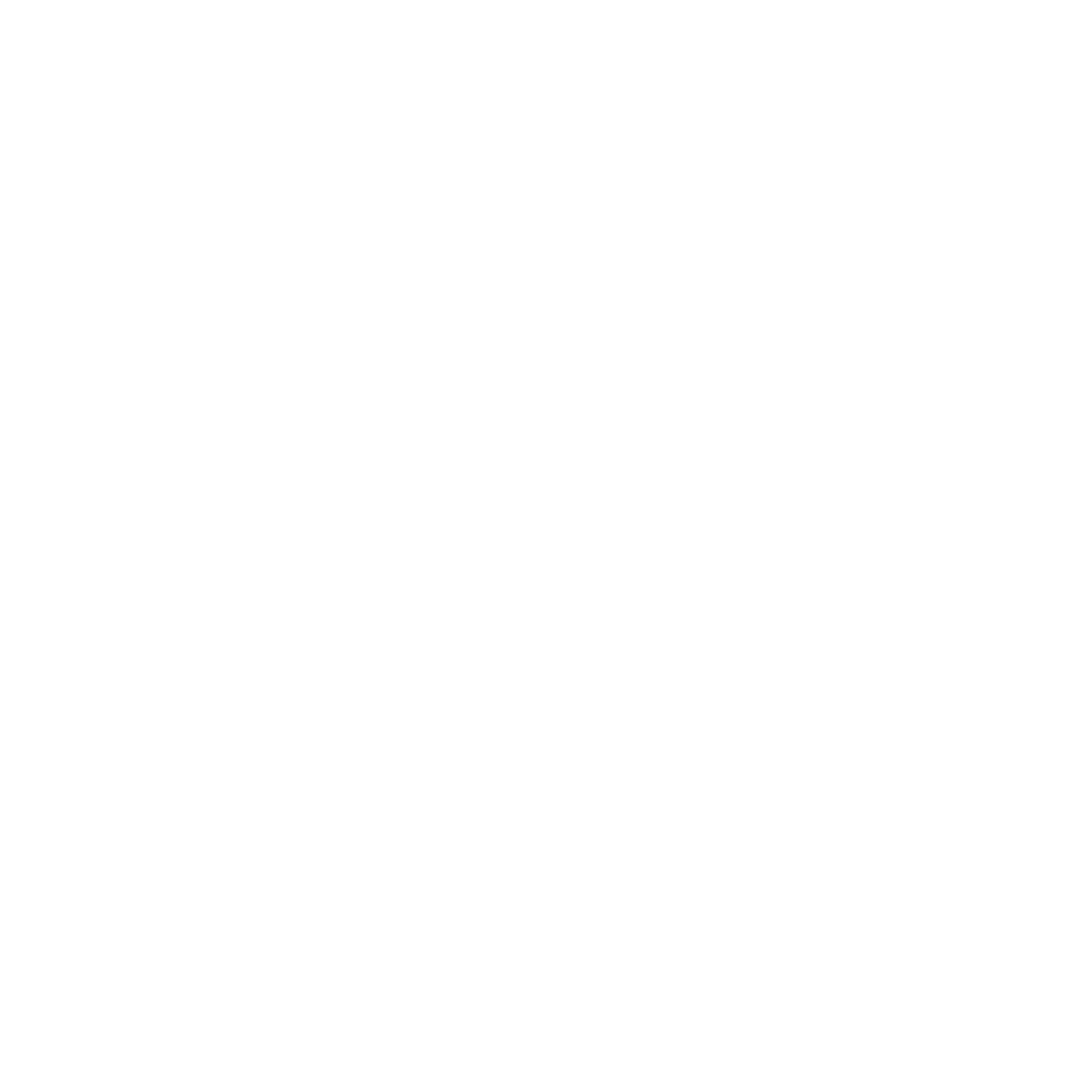 Pragmatic logo